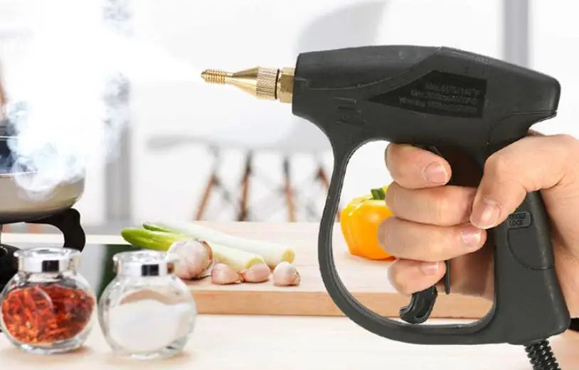 110V 220V Household Electric Steam Cleaner 2600W Portable Handheld Steamer Car Kitchen Brush Cleaning Machine