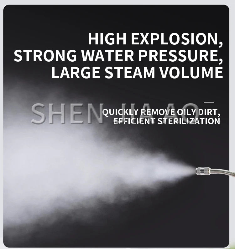 3800W High Pressure And High Temperature Steam Cleaner Household Appliance Pipe Cleaning Air Conditioning And Refrigerator