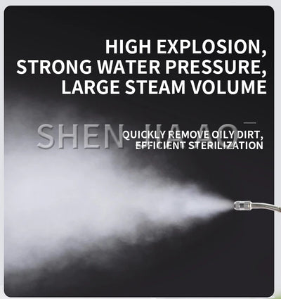 3800W High Pressure And High Temperature Steam Cleaner Household Appliance Pipe Cleaning Air Conditioning And Refrigerator