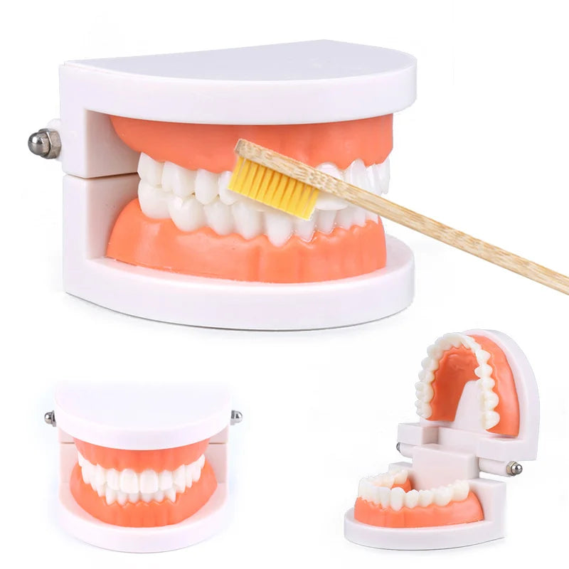 Montessori Educational Toys For Children Early Learning Kids Intelligence Brushing