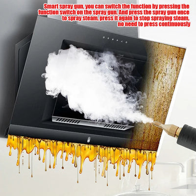 Professional portable uphplstery steam pressure washer 110V/220V steam cleaner for cars house kitchen air conditioner