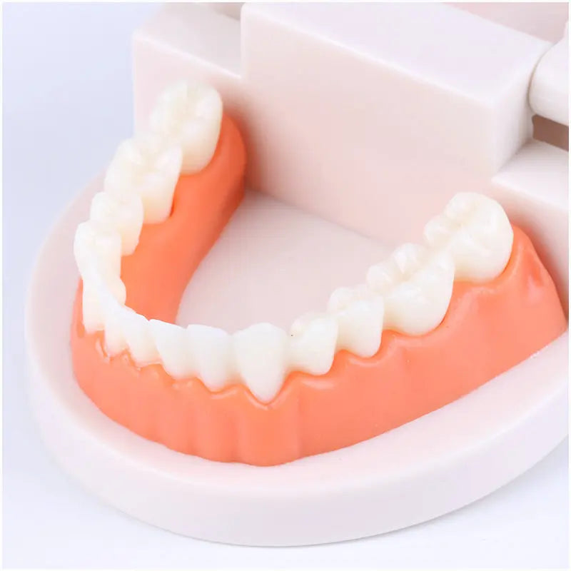 Montessori Educational Toys For Children Early Learning Kids Intelligence Brushing