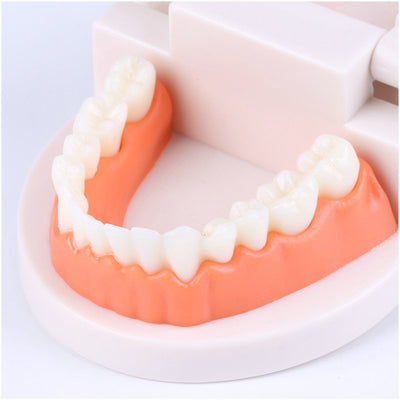 Montessori Educational Toys For Children Early Learning Kids Intelligence Brushing