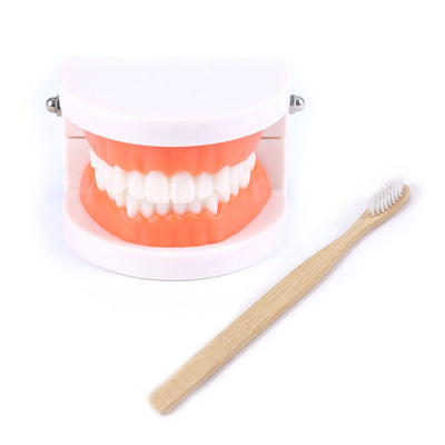 Montessori Educational Toys For Children Early Learning Kids Intelligence Brushing