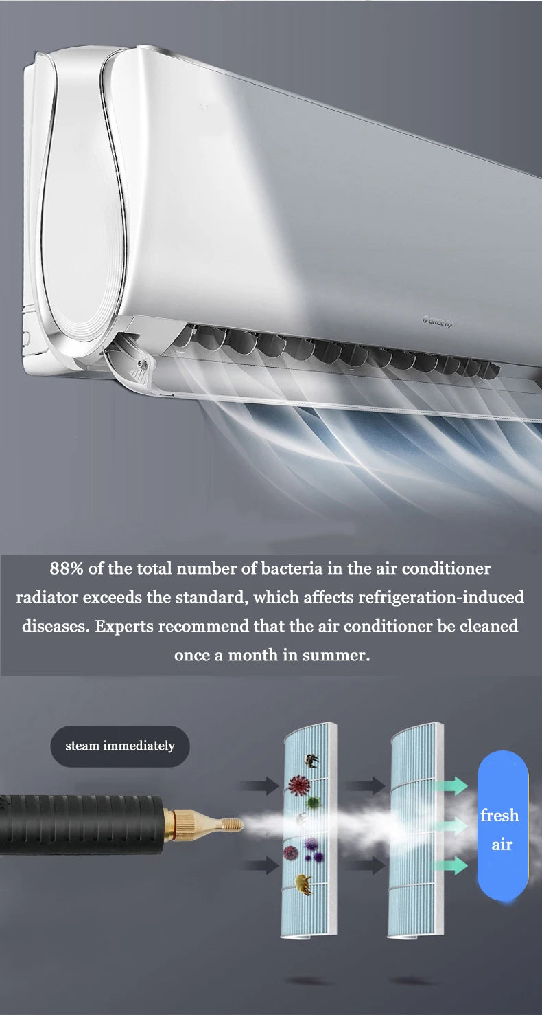 Professional portable uphplstery steam pressure washer 110V/220V steam cleaner for cars house kitchen air conditioner