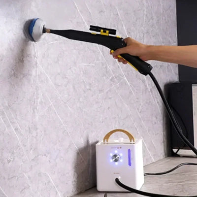 Steam Cleaner for Home Steamer Steam High Cleaner Air Conditioner Cleaning Machine with Brush Head for Household Clean 220V/110V