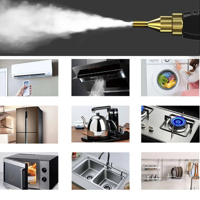2500W 110V 220V High Pressure And Temperature Steam Cleaner For  Air Conditioning Kitchen Hood Car Cleaner With Water Tank