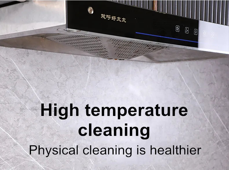 2600W Steam Cleaner for Home Steamer, Steam High Pressure Cleaner, Air Conditioner Cleaning Machine with Brush Head for Kitchen