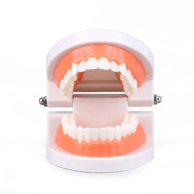 Montessori Educational Toys For Children Early Learning Kids Intelligence Brushing