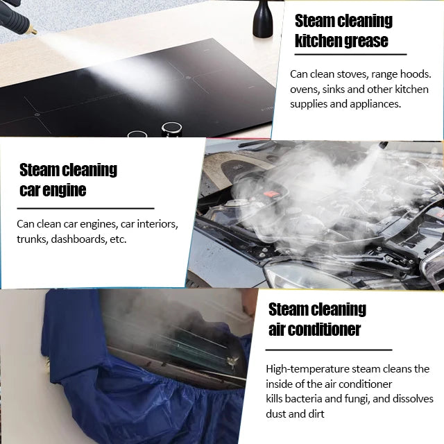 Professional portable uphplstery steam pressure washer 110V/220V steam cleaner for cars house kitchen air conditioner