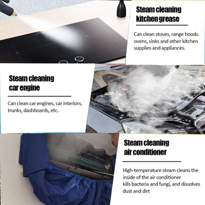 Professional portable uphplstery steam pressure washer 110V/220V steam cleaner for cars house kitchen air conditioner