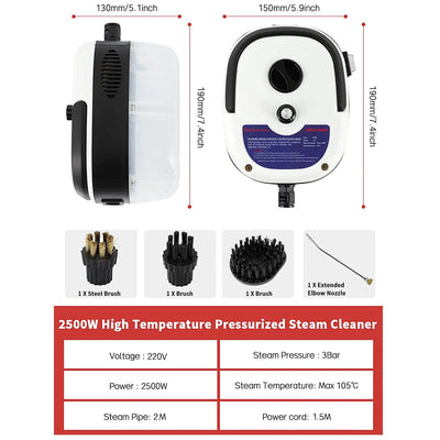 2500W 110V 220V High Pressure And Temperature Steam Cleaner For  Air Conditioning Kitchen Hood Car Cleaner With Water Tank