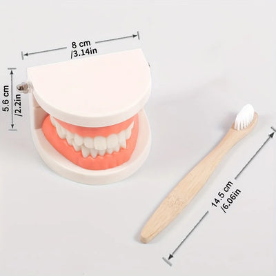 Montessori Educational Toys For Children Early Learning Kids Intelligence Brushing