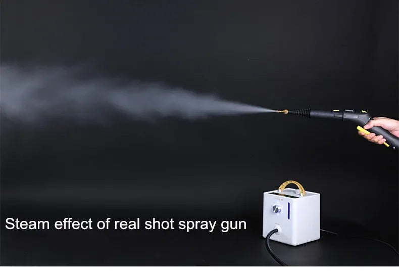 Steam Cleaner for Home Steamer Steam High Cleaner Air Conditioner Cleaning Machine with Brush Head for Household Clean 220V/110V