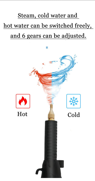 Professional portable uphplstery steam pressure washer 110V/220V steam cleaner for cars house kitchen air conditioner