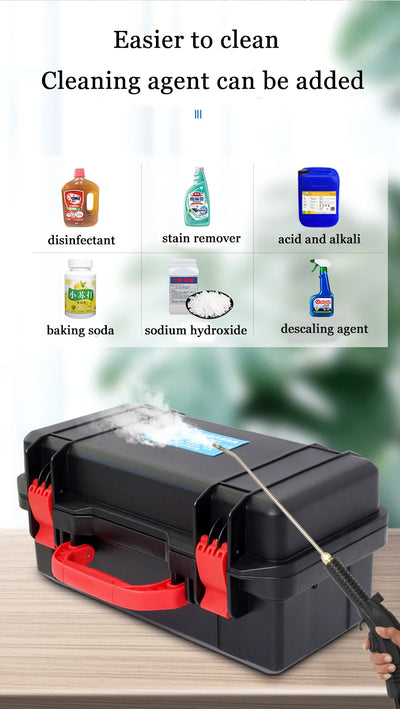 Professional portable uphplstery steam pressure washer 110V/220V steam cleaner for cars house kitchen air conditioner
