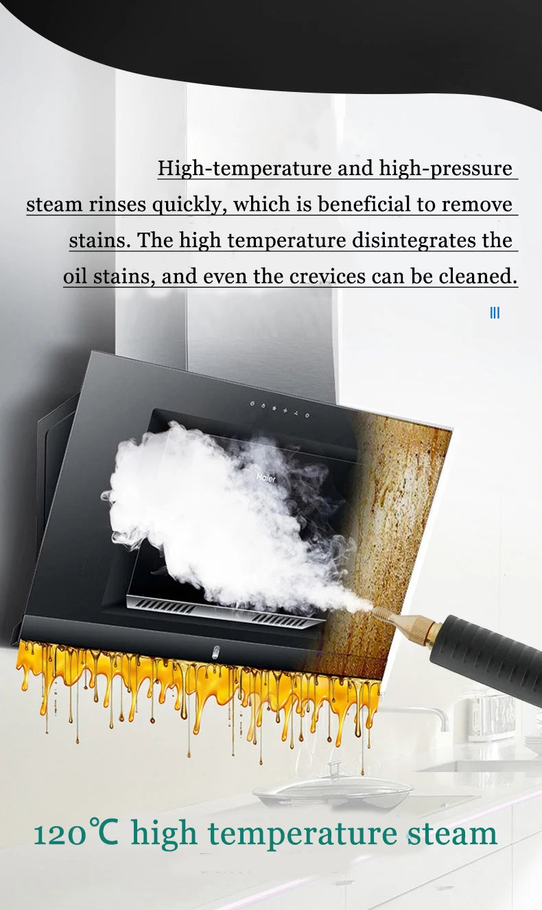 Professional portable uphplstery steam pressure washer 110V/220V steam cleaner for cars house kitchen air conditioner