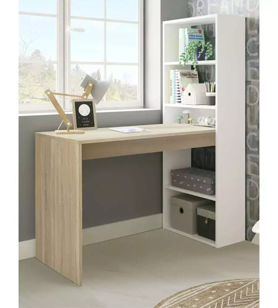 New Living Room Computer Desk with Storage Drawer, Home Office Table