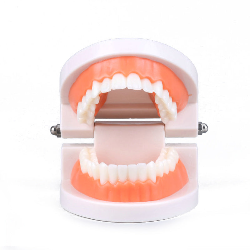 Montessori Educational Toys For Children Early Learning Kids Intelligence Brushing
