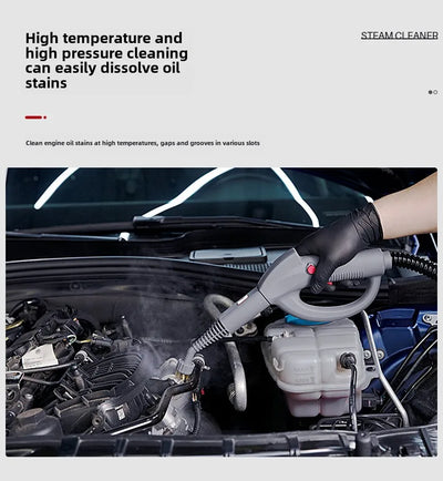 SGCB New Grid Multifunctional Steam Cleaner Fume Cleaner High Temperature and High Pressure Commercial Vehicle Cleaner Household
