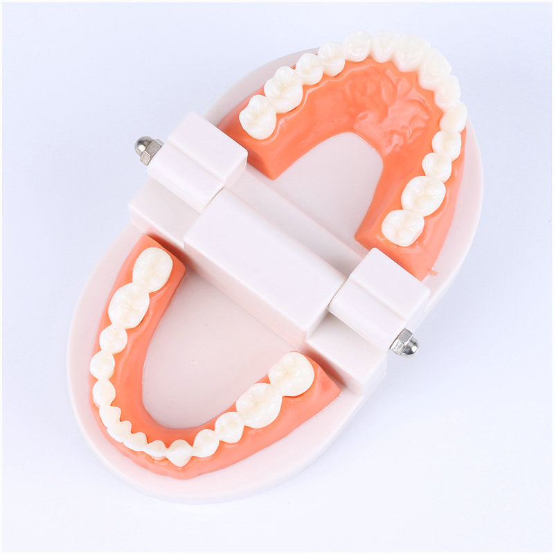 Montessori Educational Toys For Children Early Learning Kids Intelligence Brushing