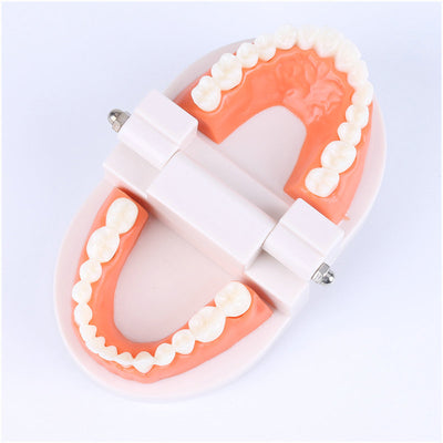 Montessori Educational Toys For Children Early Learning Kids Intelligence Brushing