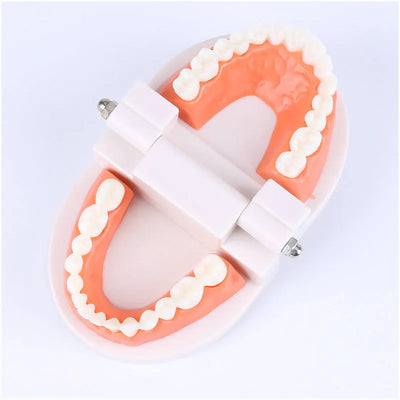 Montessori Educational Toys For Children Early Learning Kids Intelligence Brushing
