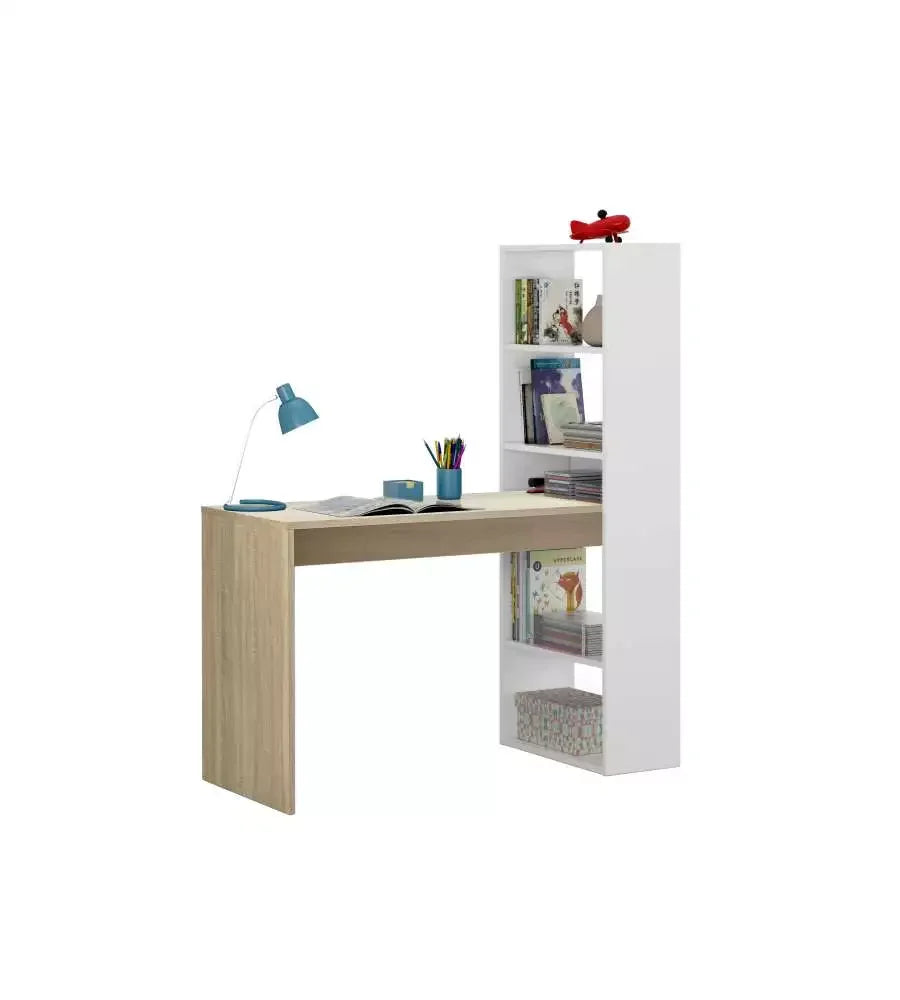 New Living Room Computer Desk with Storage Drawer, Home Office Table