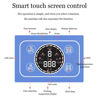 Professional portable uphplstery steam pressure washer 110V/220V steam cleaner for cars house kitchen air conditioner