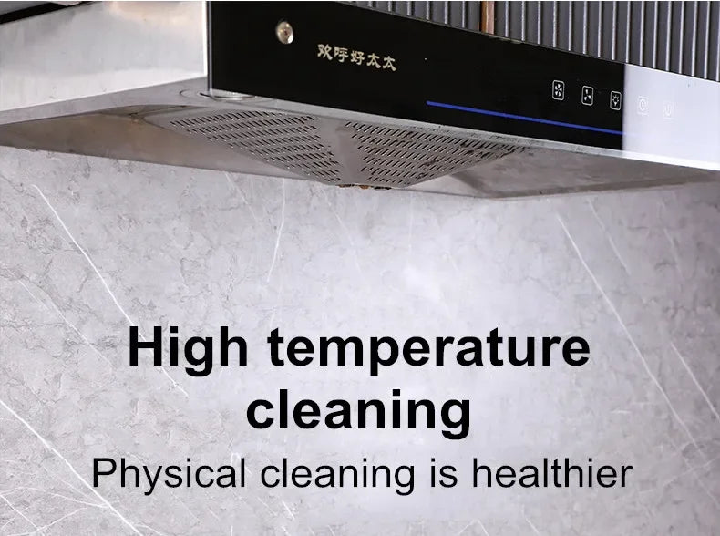Steam Cleaner for Home Steamer Steam High Cleaner Air Conditioner Cleaning Machine with Brush Head for Household Clean 220V/110V