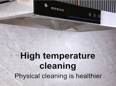 Steam Cleaner for Home Steamer Steam High Cleaner Air Conditioner Cleaning Machine with Brush Head for Household Clean 220V/110V