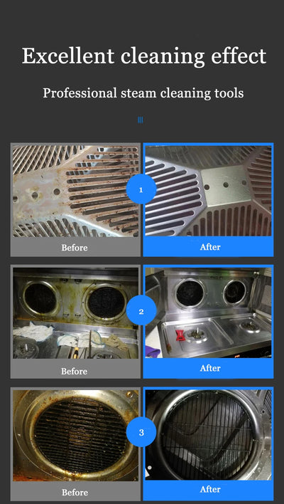 Professional portable uphplstery steam pressure washer 110V/220V steam cleaner for cars house kitchen air conditioner